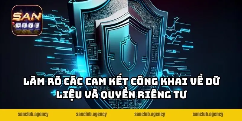 Làm rõ các cam kết công khai về dữ liệu và quyền riêng tư