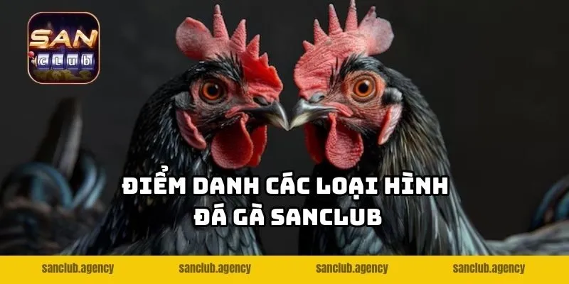 Điểm danh các loại hình đá gà SANCLUB